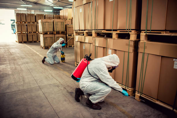 Best Pest Control Near Me  in Grand Bay, AL