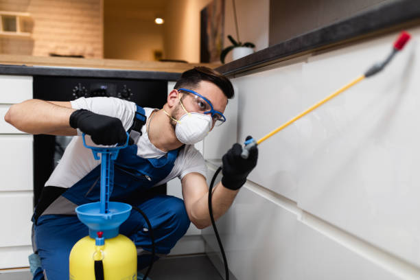 Best Pest Inspection Near Me  in Grand Bay, AL