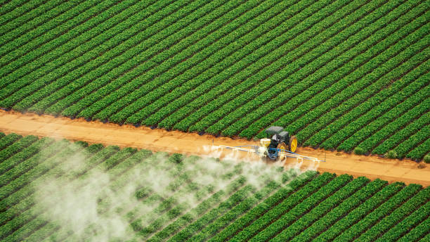 Best Best Pest Control Companies  in Grand Bay, AL