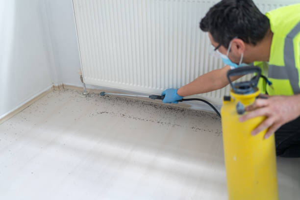 Best Exterminator Services  in Grand Bay, AL