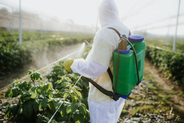 Best Residential Pest Control  in Grand Bay, AL